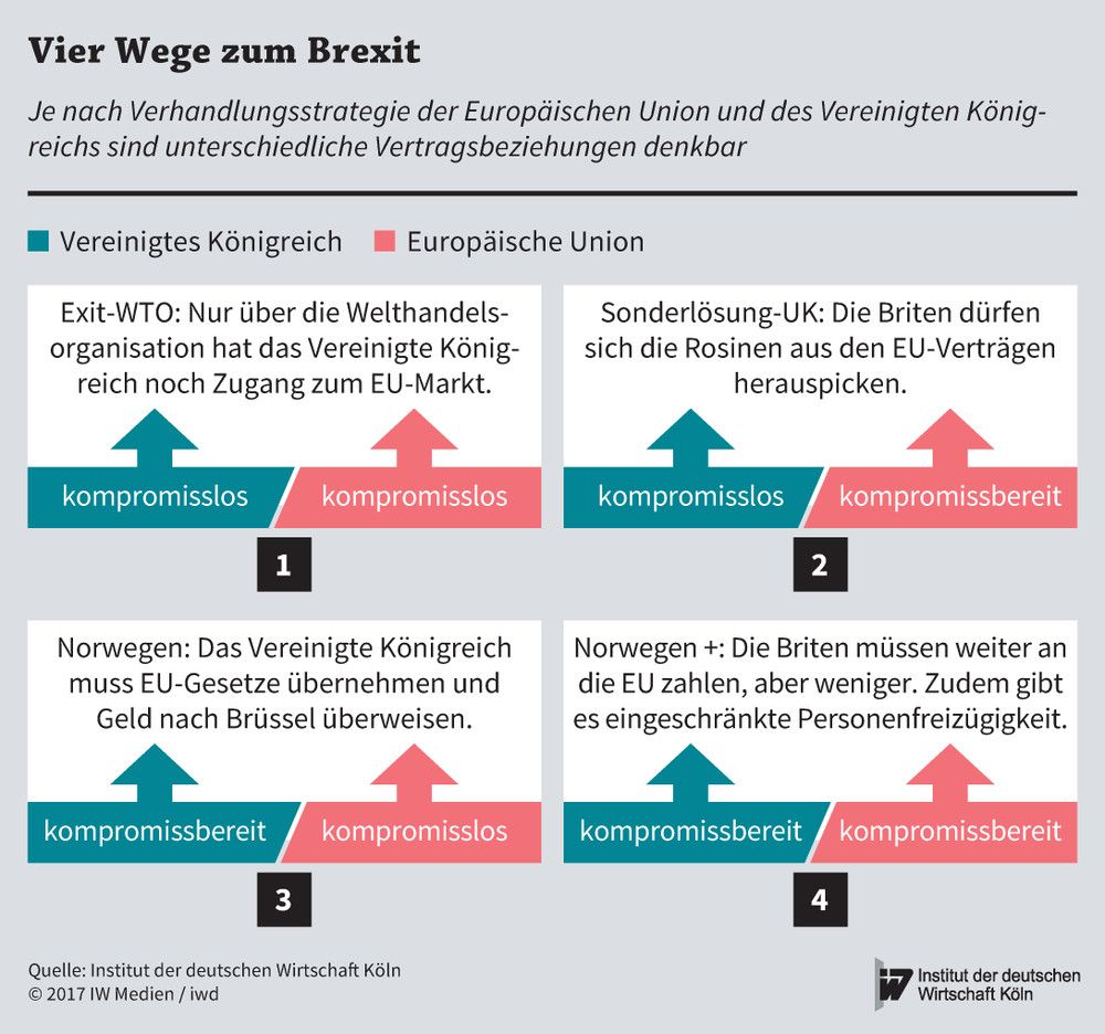 Diese vier Vertragsmodelle sind für die Beziehungen zwischen EU und Vereinigtem Königreich denkbar, je nachdem wie kompromissbereit über den Brexit verhandelt wird