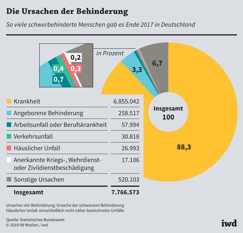 Aus diesen Gründen waren Menschen in Deutschland Ende 2017 schwerbehindert