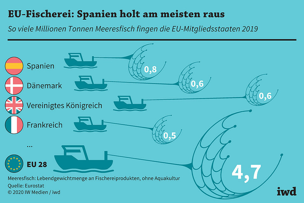 So viele Millionen Tonnen Meeresfisch fingen die EU-Mitgliedsstaaten 2019