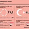 Warenhandel zwischen EU und Türkei im Jahr 2015