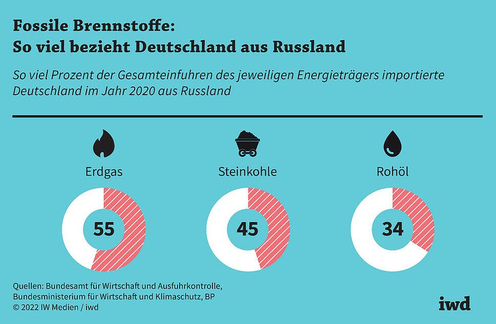 So viel Prozent der Gesamteinfuhren des jeweiligen Energieträgers importierte Deutschland im Jahr 2020 aus Russland