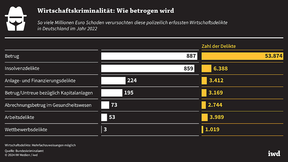 So viele Millionen Euro Schaden verursachten diese polizeilich erfassten Wirtschaftsdelikte in Deutschland im Jahr 2022